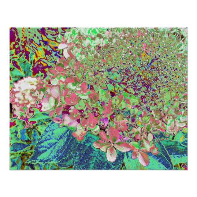 Elegant Coral and Chartreuse Limelight Hydrangea Poster (Front)
