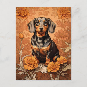 Elegant Dachshund And Marigolds   Postcard