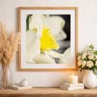Elegant Daffodil Flower Photography by Meggidoo