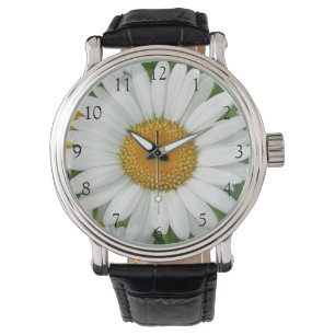 Elegant daisies white floral flowers greenery watch