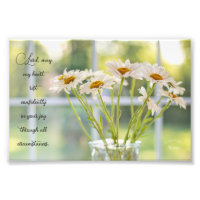 Elegant Daisy Photography Joy Inspirational