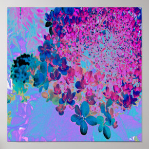 Elegant Dark Blue and Magenta Limelight Hydrangea Poster