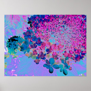 Elegant Dark Blue and Magenta Limelight Hydrangea Poster