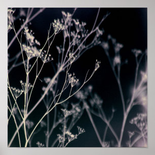 Elegant Dark Floral Abstract Poster