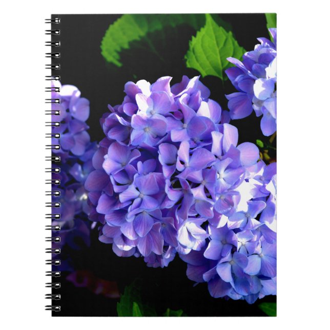 Elegant deep purple floral flowers  hydrangea spiral notebook (Front)