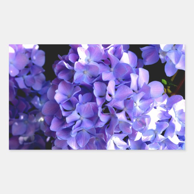 Elegant deep purple florals periwinkle hydrangeas rectangular sticker (Front)