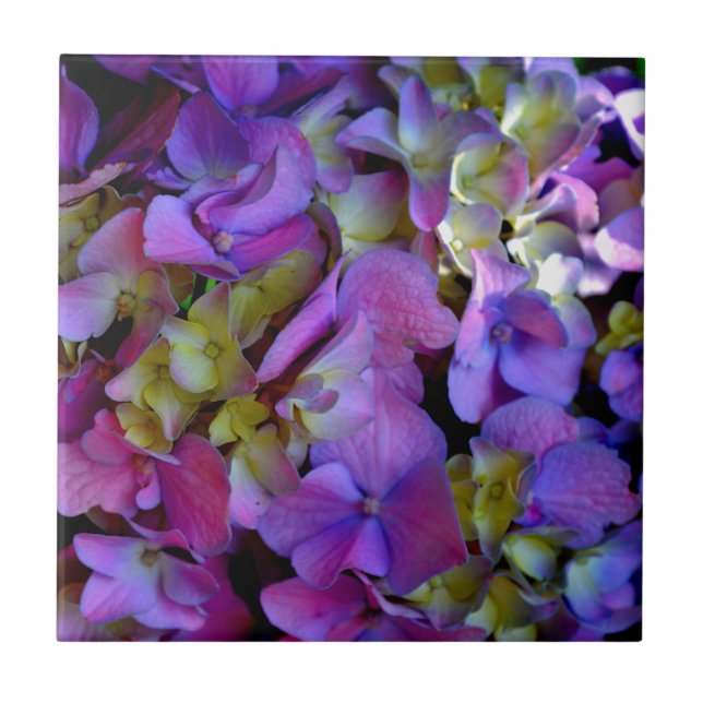 Elegant deep purple pink magenta floral hydrangeas tile (Front)