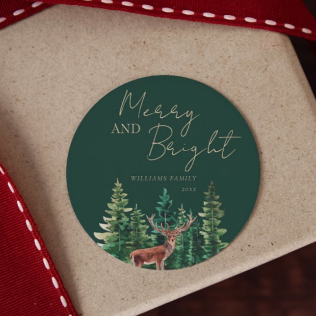 Elegant Deer Christmas Family Name Classic Round Sticker (Creator Uploaded)