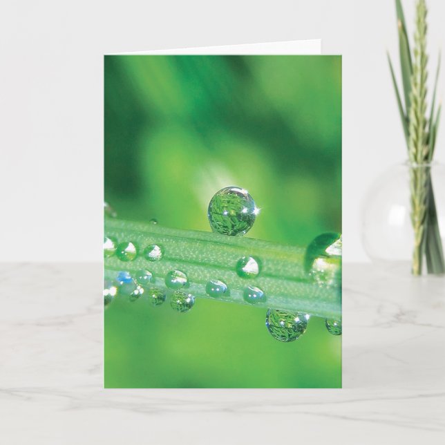 Elegant Dew Drop Note Card With Poem (Front)