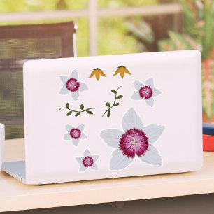 Elegant Dianthus Hand-Drawn Floral Botanical