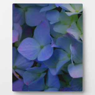 Elegant dusty blue purple floral plaque