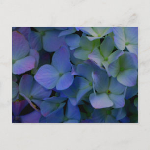 Elegant dusty blue purple floral postcard