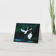 Elegant Egrets In Dance