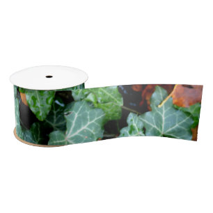 Elegant English Ivy and field stone Satin Ribbon