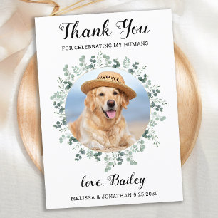 Elegant Eucalyptus Foliage Pet Photo Dog Wedding Thank You Card
