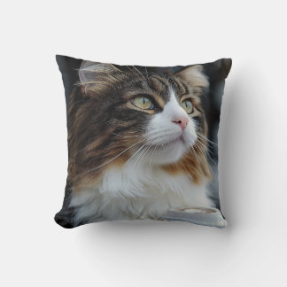 Elegant Feline with a Coffee Cushion