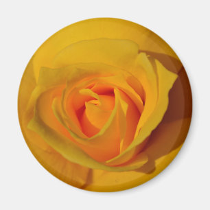 Elegant floral flower Yellow Rose Magnet