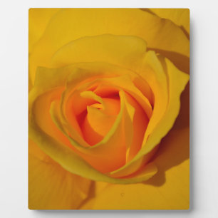 Elegant floral flower Yellow Rose Plaque