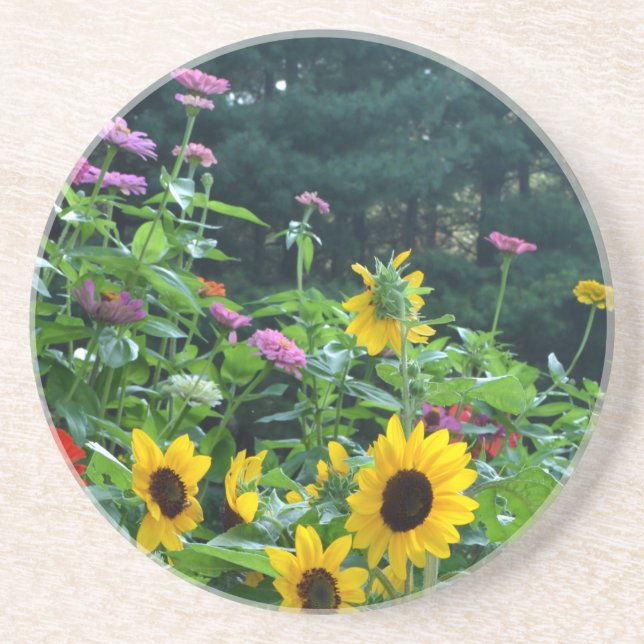 Elegant floral garden sunflowers zinnias daisies  coaster (Front)