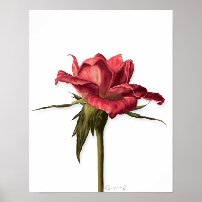 Elegant Floral Rose Poster (Front)