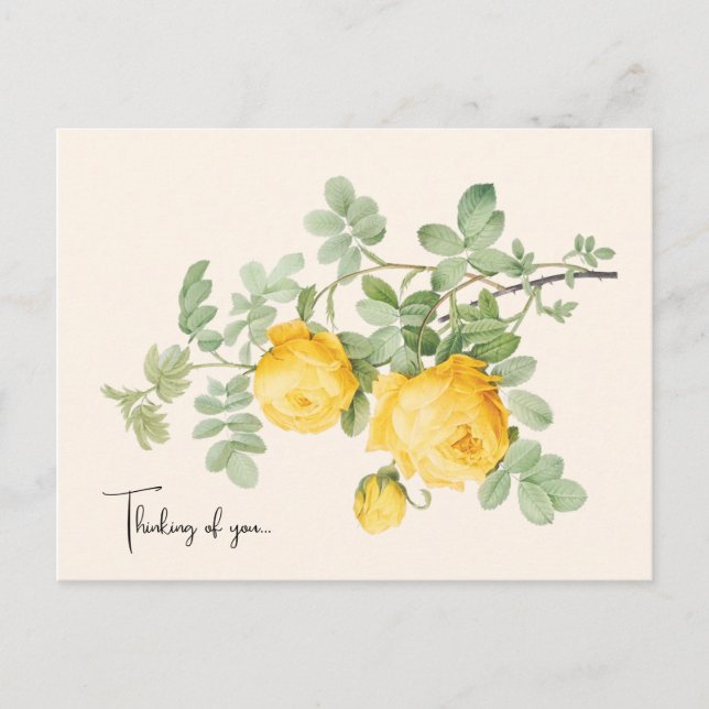 Elegant Floral Thinking of You Postcard (Front)
