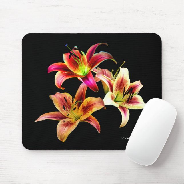 Elegant Floral Yellow Pink Daylilies Flowers Mouse Pad (With Mouse)