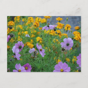 Elegant Flower Wedding Shower Peace Love Destiny Postcard