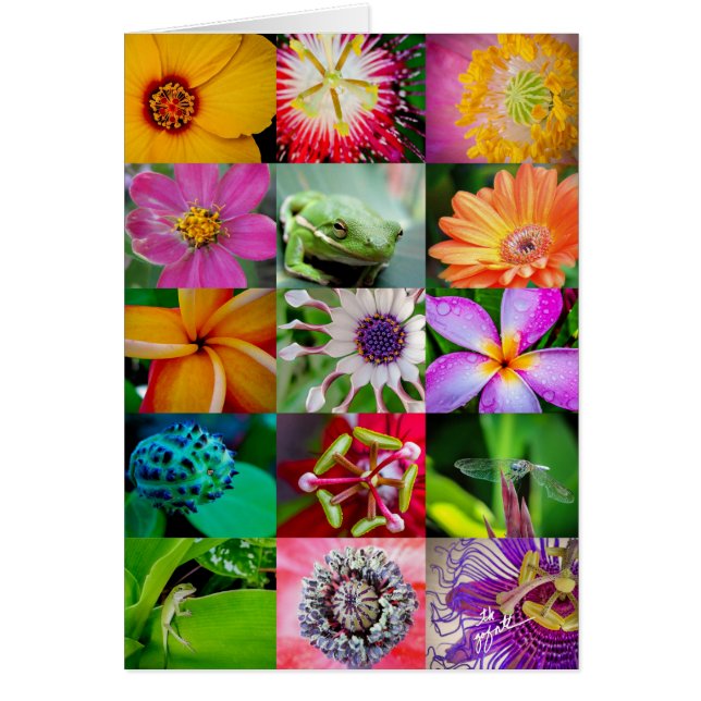 Elegant Flowers and Creatures Floral Pattern (Front)