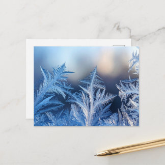 Elegant Frost Crystal Winter Postcard