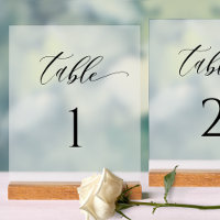 Elegant Frosted Style Wedding Table Number