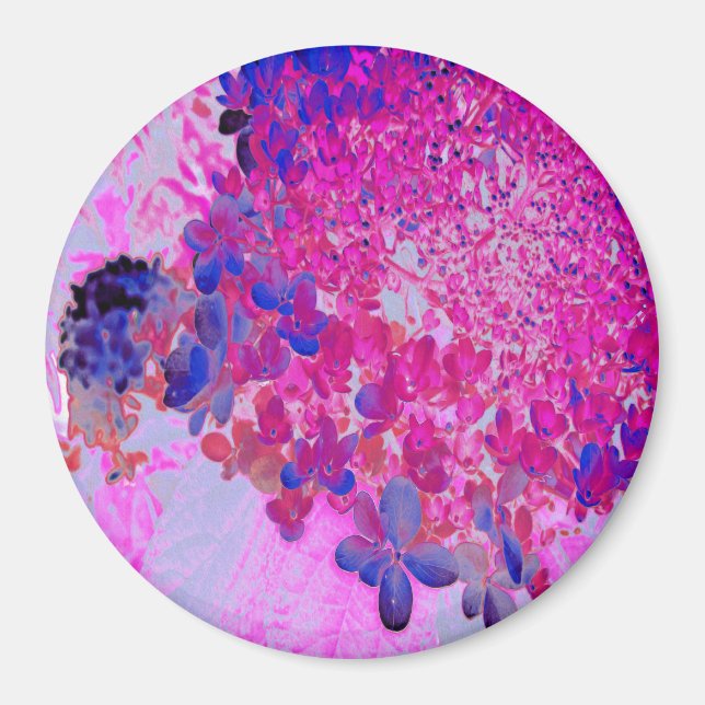 Elegant Fuchsia and Dark Blue Limelight Hydrangea Magnet (Front)