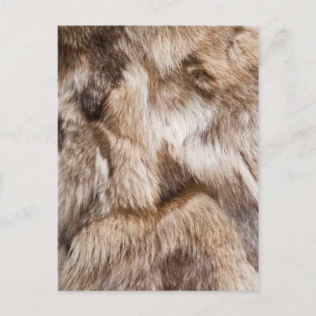 Elegant fur texture postcard (Front)