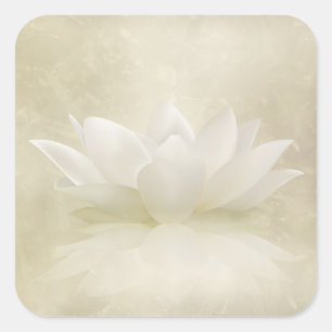 Elegant Gentle White  Lotus / Lily flower Square Sticker