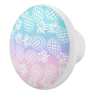 Elegant Girly Gradient Pineapple Pattern Colourful Ceramic Knob