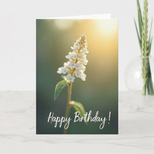 Elegant Glow Birthday Card