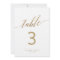 Elegant Gold Calligraphy 5x7" Table Number