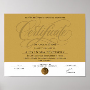 Elegant Gold Certificate Of Completion Achievement Poster