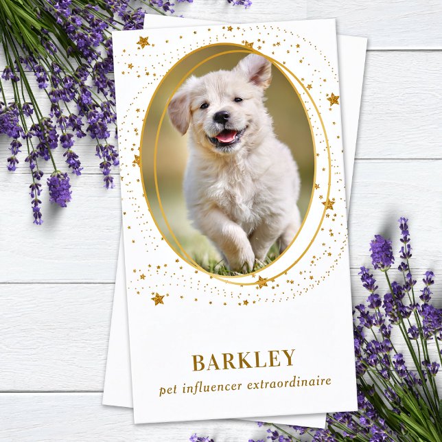 Elegant Gold Stars Custom Photo QR Social Media Business Card (Creator Uploaded)