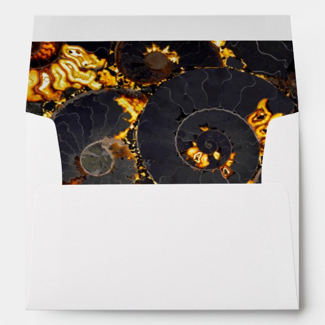 Elegant golden nautilus design envelope (Back (Bottom))