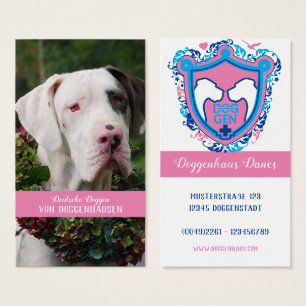 Elegant Great Dane Picture and Logo – Modern Dog