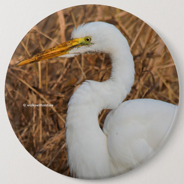Elegant Great Egret in the Reeds 6 Cm Round Badge (Front)
