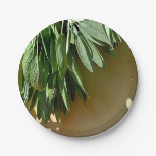 Elegant green botanical leaves Fresh-cut herbs Paper Plate