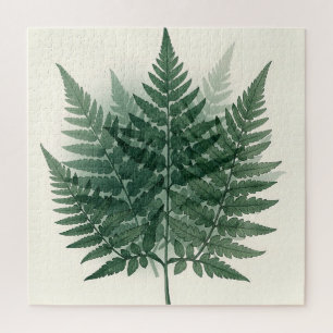 Elegant Green Fern Fronds Botanical Jigsaw Puzzle