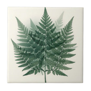 Elegant Green Fern Fronds Botanical Tile