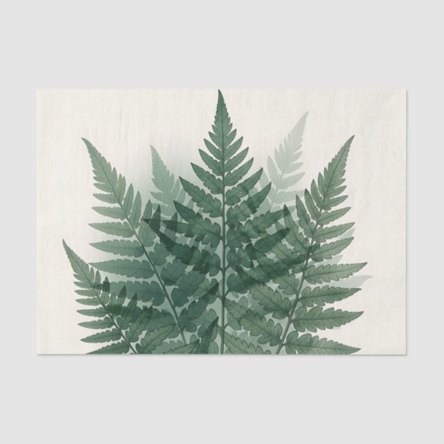 Elegant Green Fern Fronds Botanical  Tissue Paper (Front)