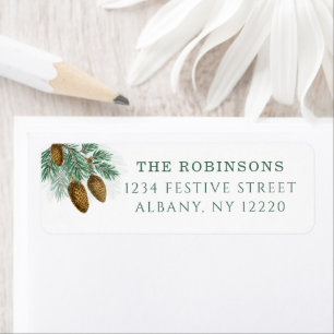 Elegant green pine branches with  pinecones
