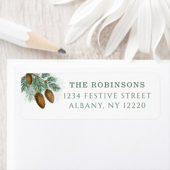 Elegant green pine branches with  pinecones (Insitu)