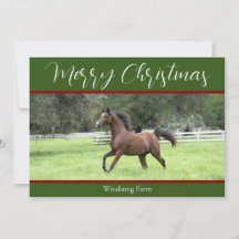 Elegant Green Red Arabian Horse 1 Photo Christmas