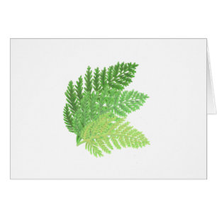 Elegant green watercolor ferns woodland leaves