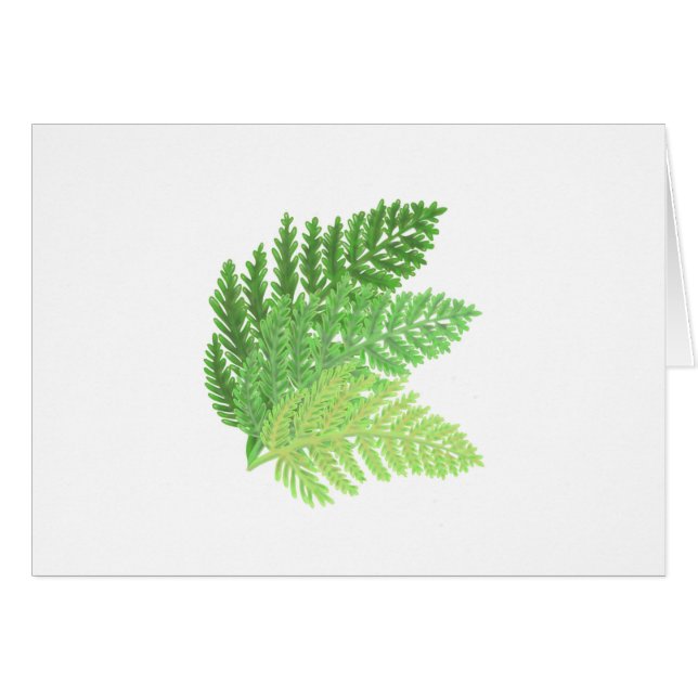 Elegant green watercolor ferns woodland leaves (Front Horizontal)